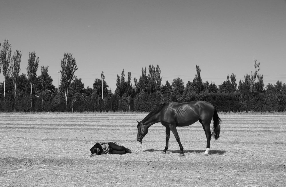 Photograph by Amin moradi