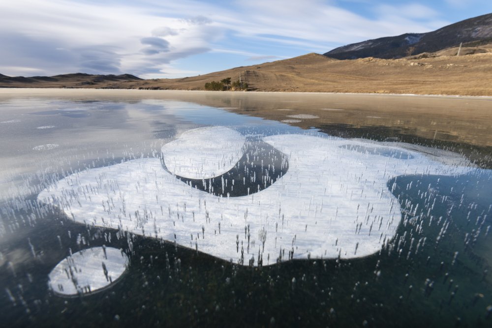 Photograph by Елена Вторушина