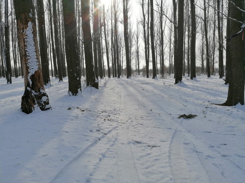 Photograph by Екатерина Комарова