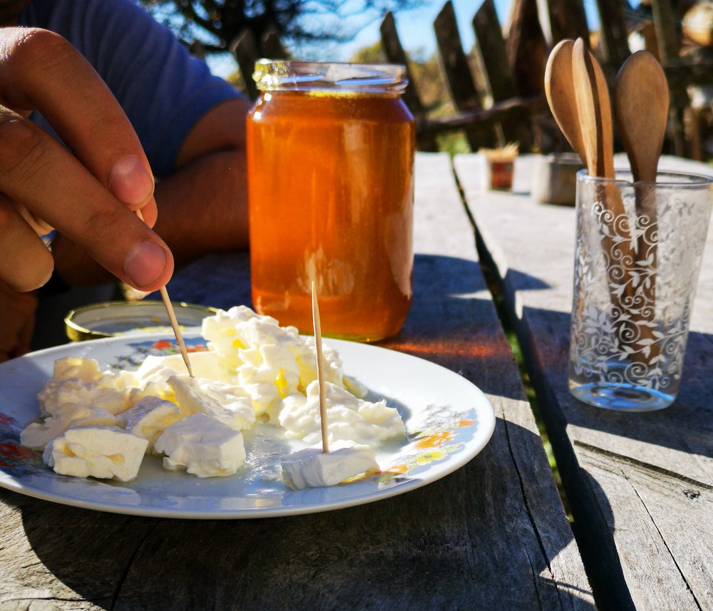 Фотография автора OLEG MOZHEVIN