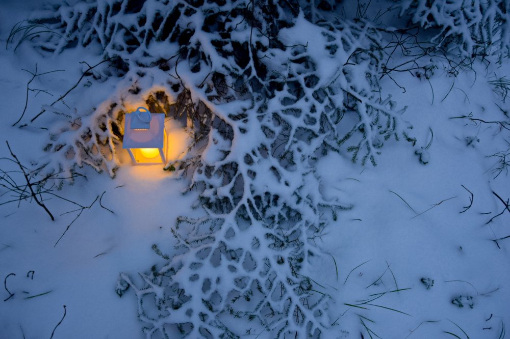 Photograph by Евгения Александровна Богаевская
