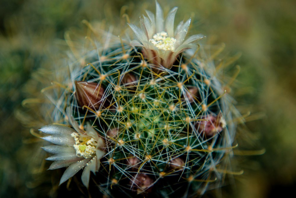 Фотография автора Алексей Самойлов