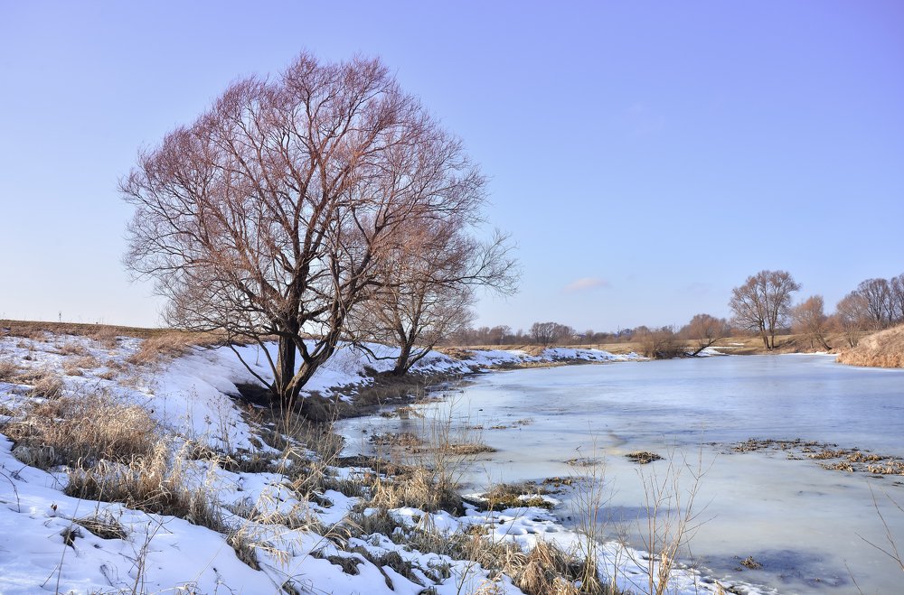 Photograph by Ольга Мендоса