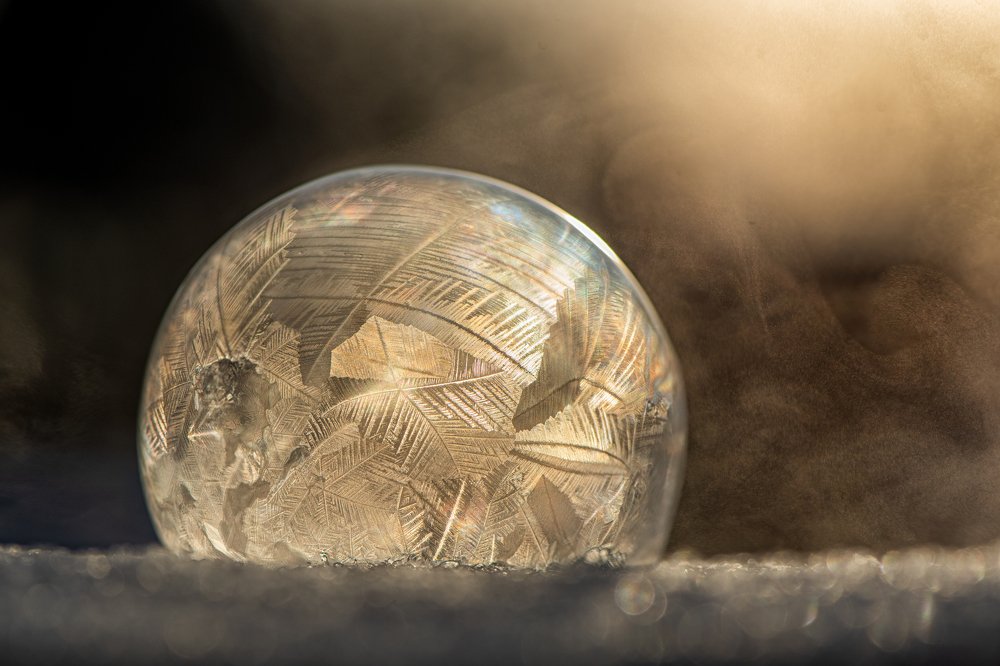 Photograph by Анастасия Третьякова