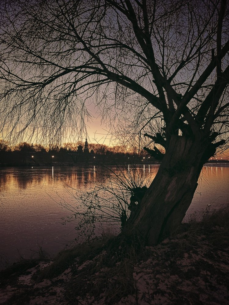 Photograph by Ирина Коновалова