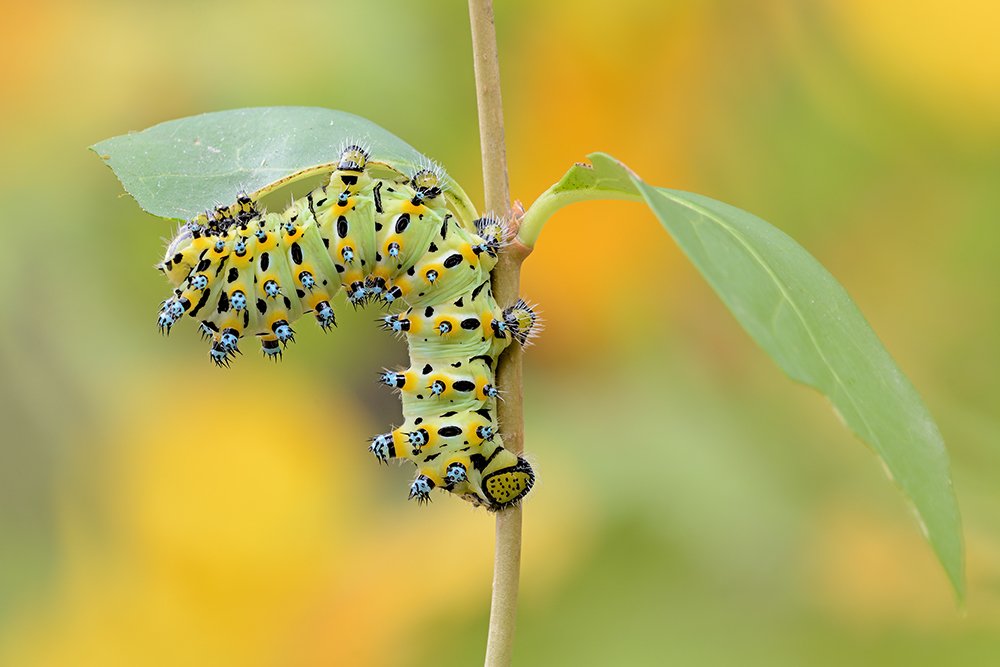 Photograph by MATTEO TRENTIN