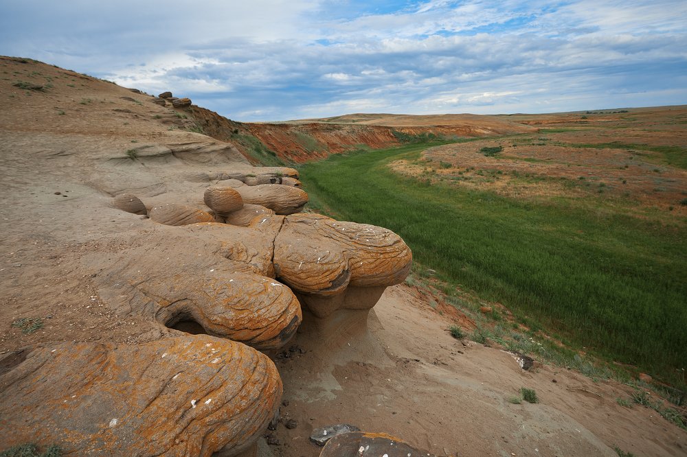 Photograph by Алексей Курочкин