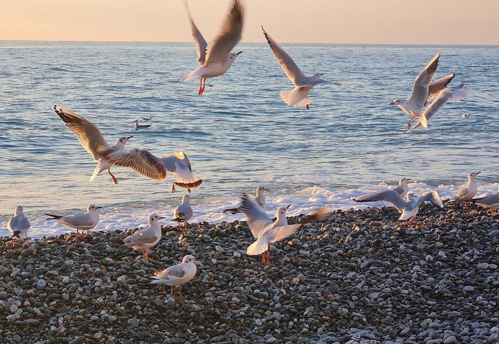 Photograph by Ирина Синягина