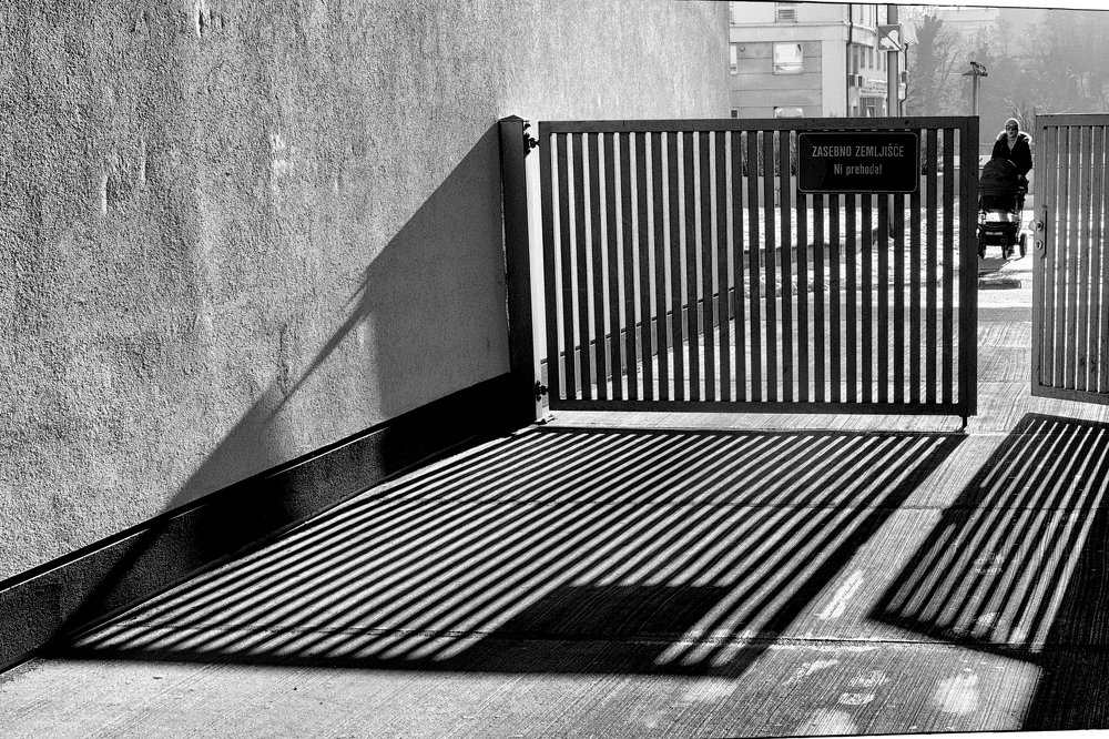 Photograph by Bojan Senet