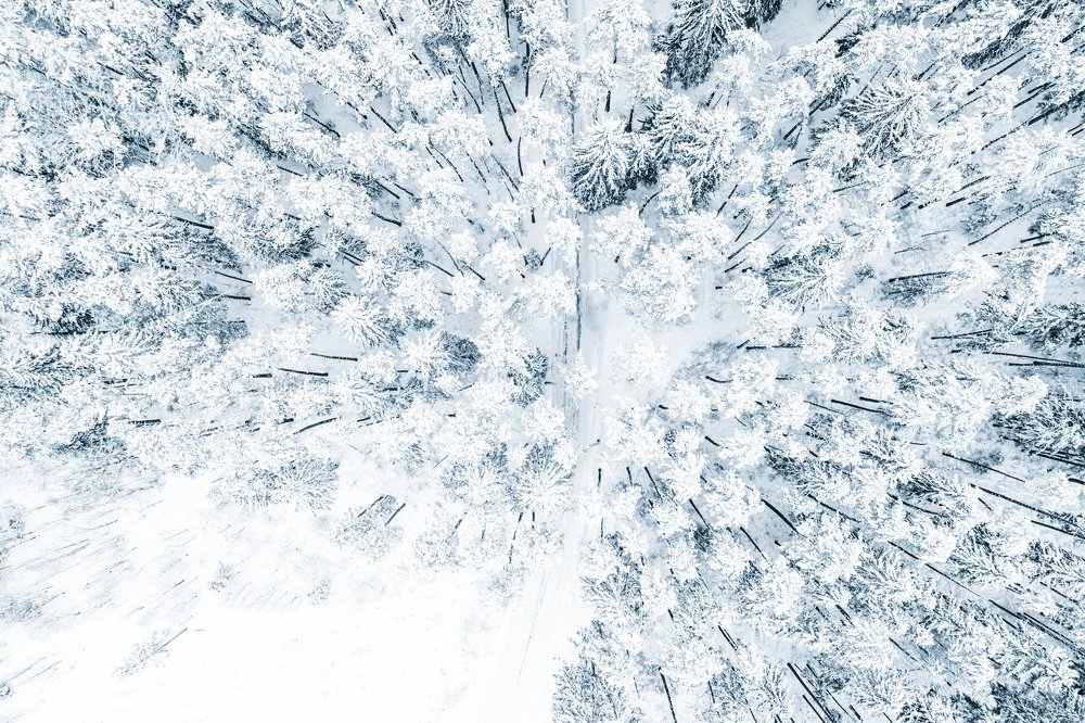 Photograph by Константин Согрин