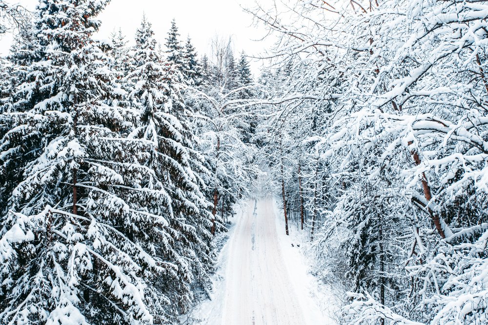 Photograph by Константин Согрин