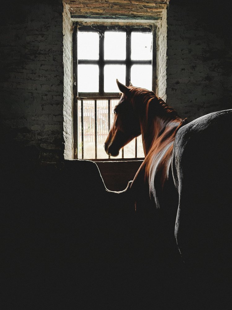 Photograph by Amirmahdi Choobdari