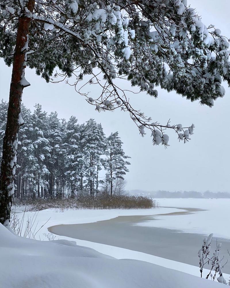 Photograph by Анатолий Андреев