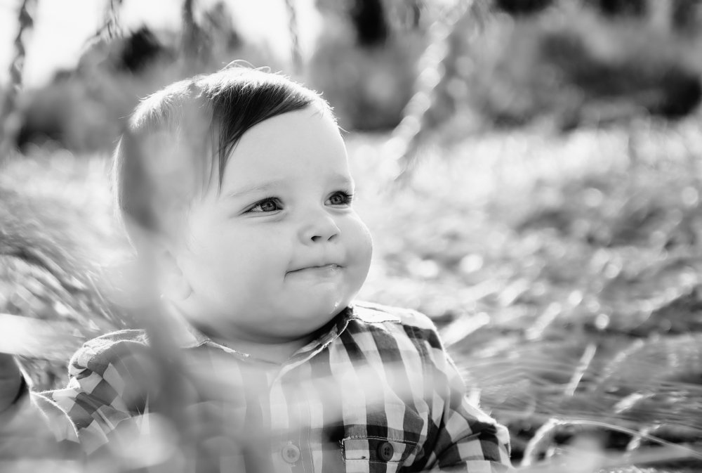 Photograph by Екатерина Коломыцева