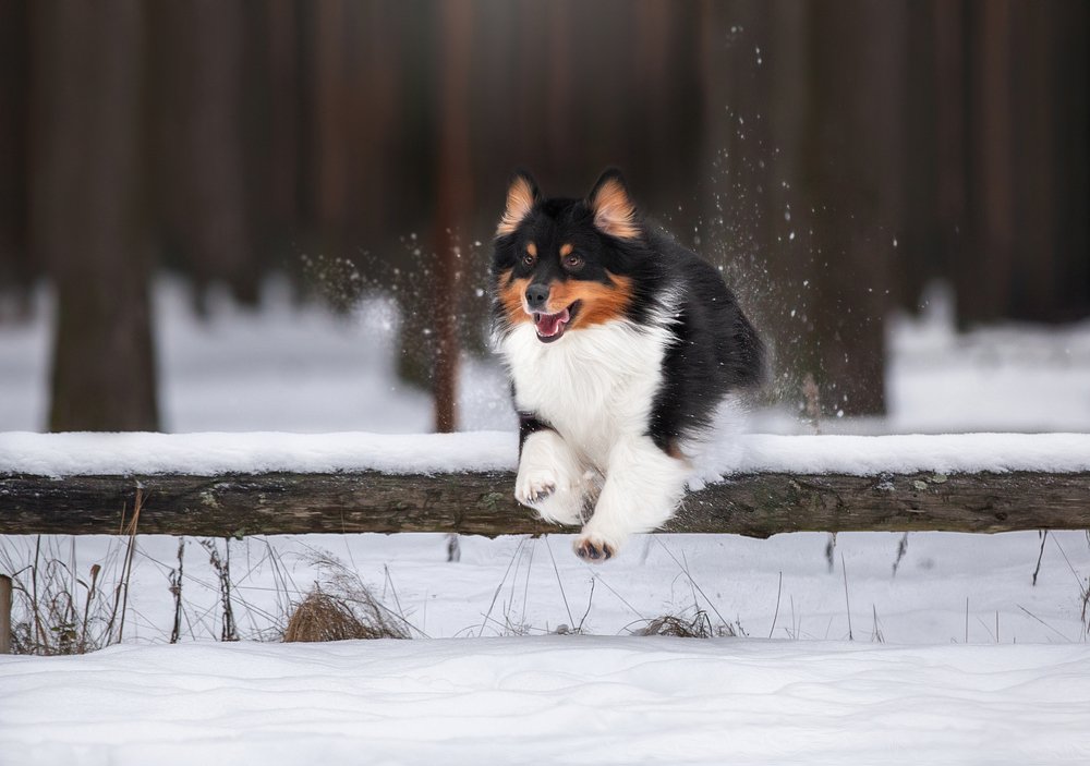 Photograph by Anna Oris