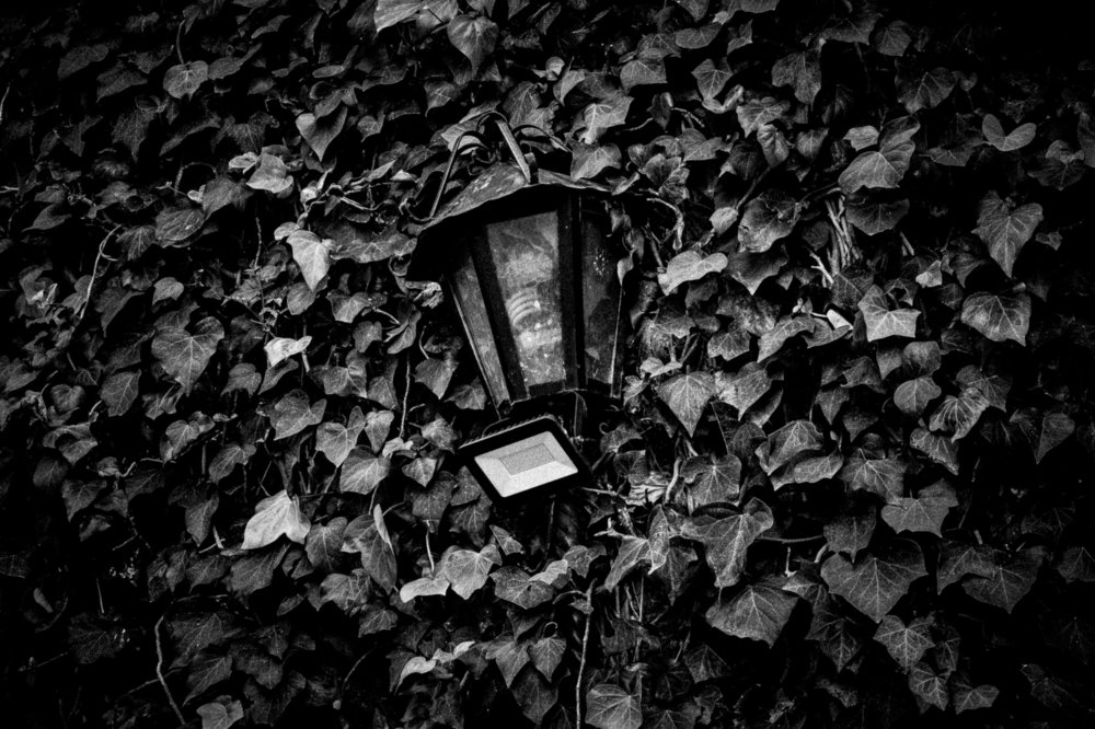 Photograph by Yerik Ramírez