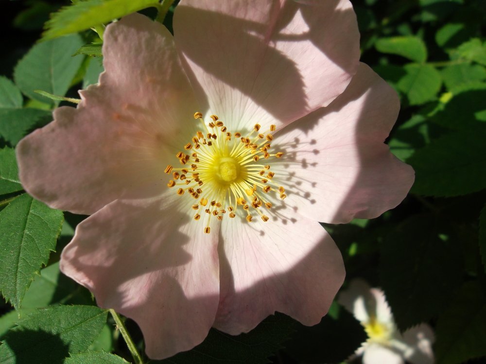 Photograph by Olga Vatkova