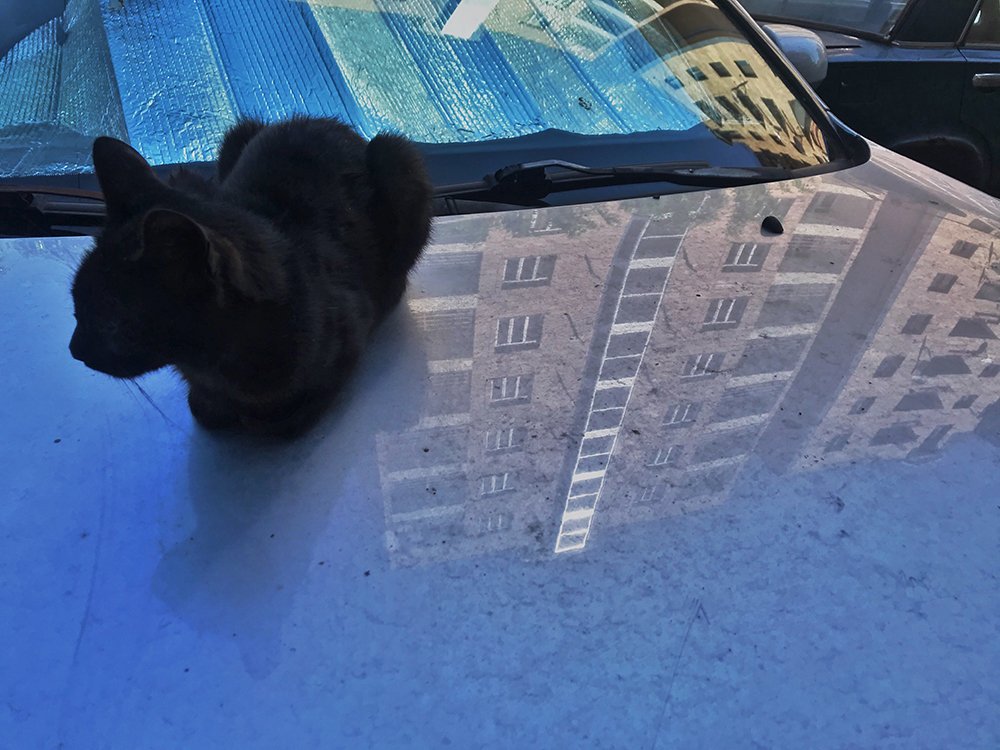 Фотография автора Inga Ivanova