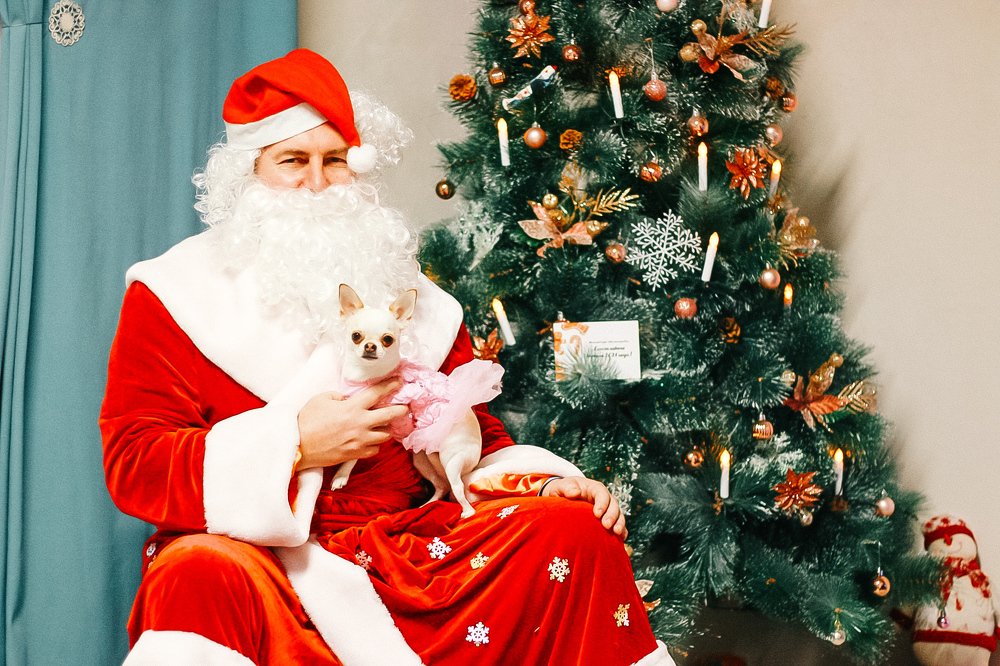 Photograph by Антонина Кузнецова