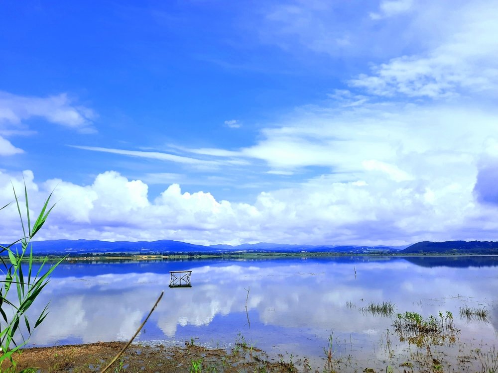 Photograph by Darko Milojevic