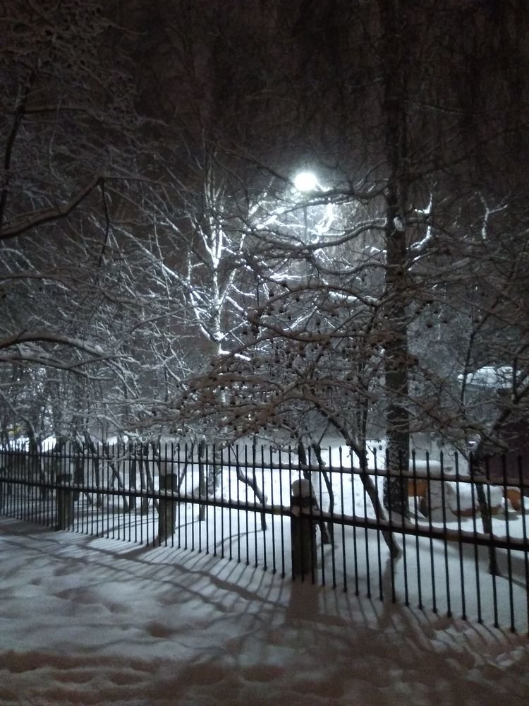 Photograph by Владислав Павлинов
