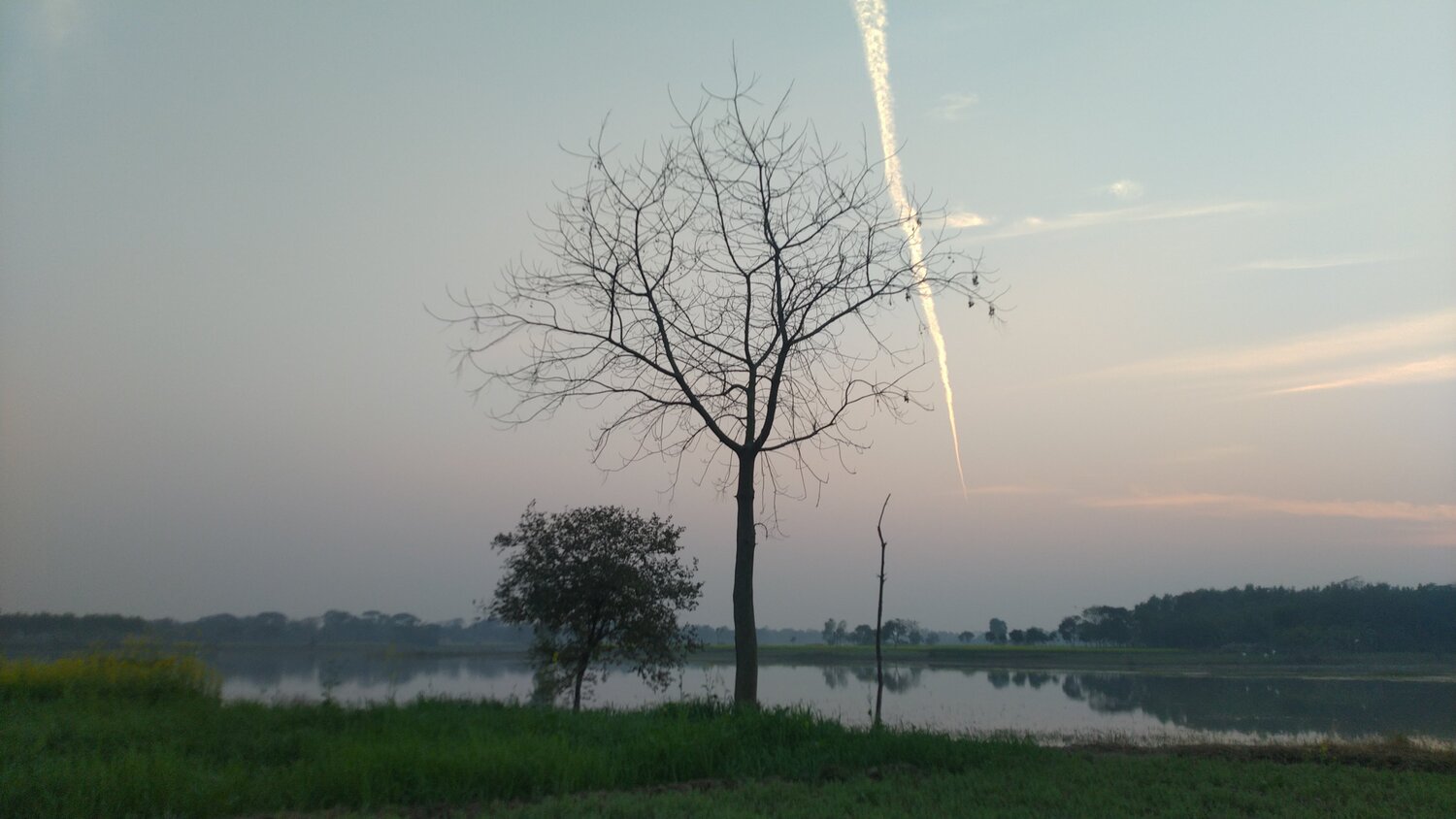 Silent Beauty..
