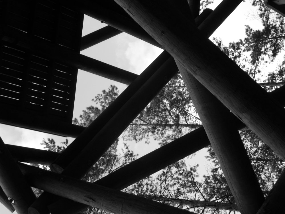 Фотография автора даниел милчев