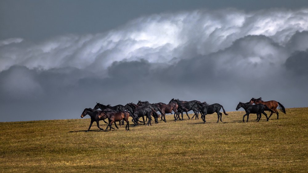 Photograph by Кобец Дмитрий