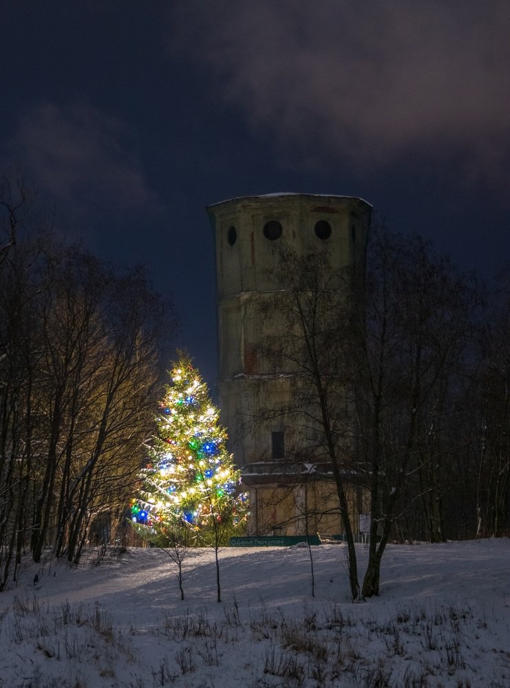 Photograph by Дарья Меркулова