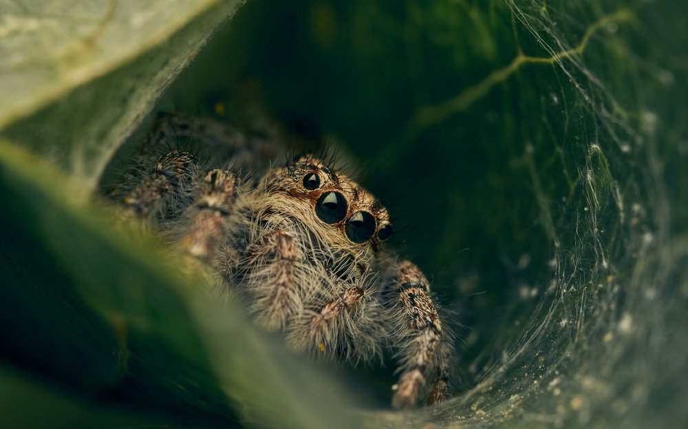 Photograph by Santiago Diaz Aragon