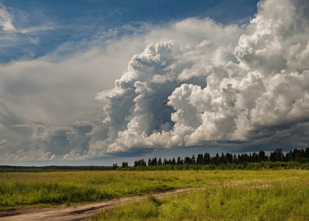 Photograph by Евгений Кузнецов