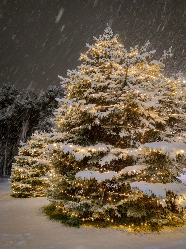 Photograph by Алена Саркисова