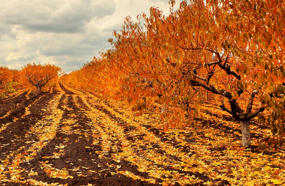 Photograph by Валерия Маркова