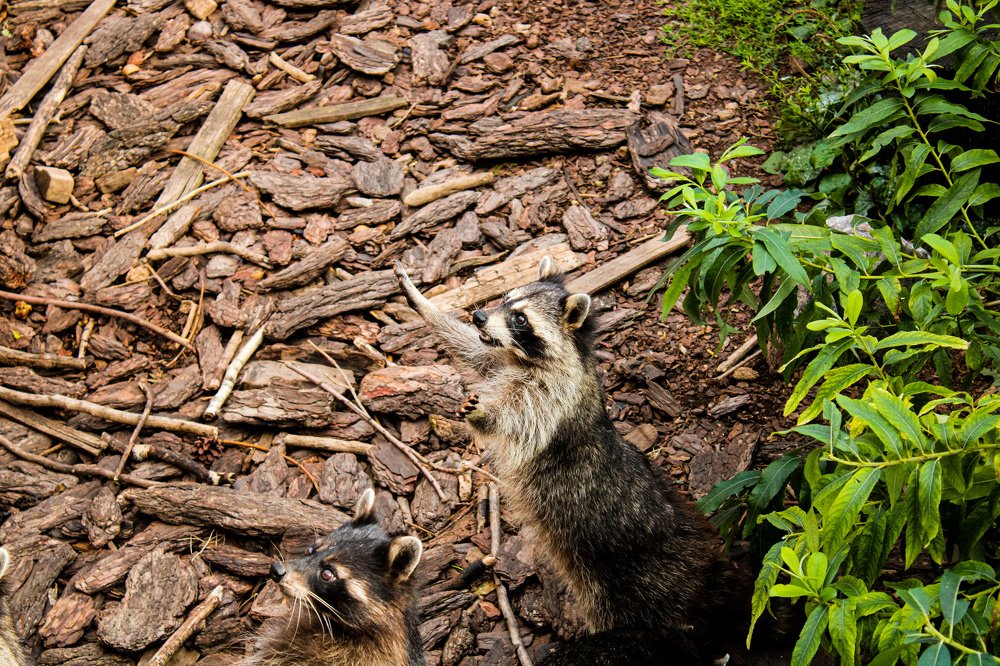 Photograph by Егор Волобуев