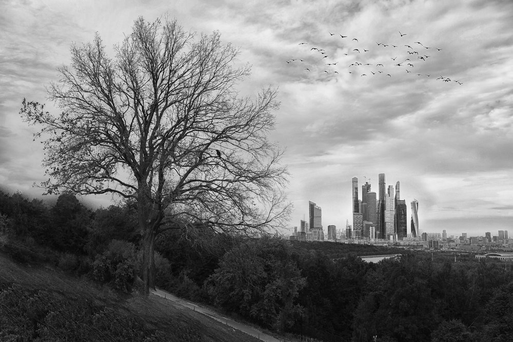 Photograph by Александр Шемятенков