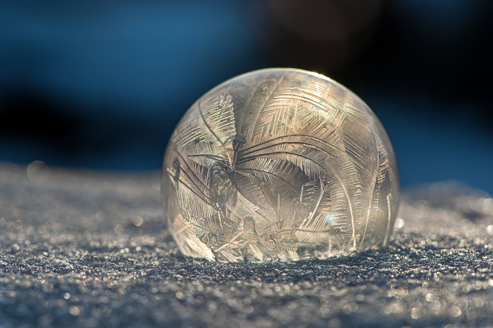 Хрупкая красота