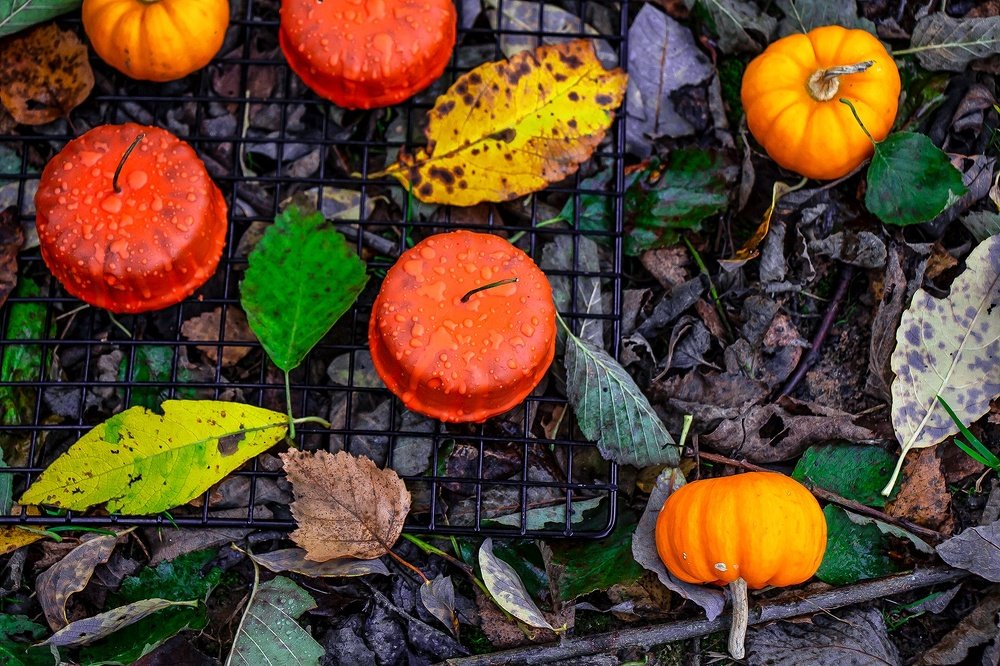 Осенний фуд-арт