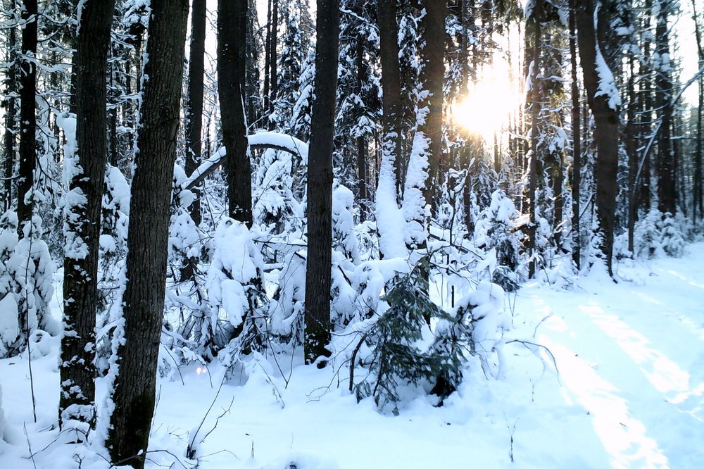 Photograph by Наталья Черепанова