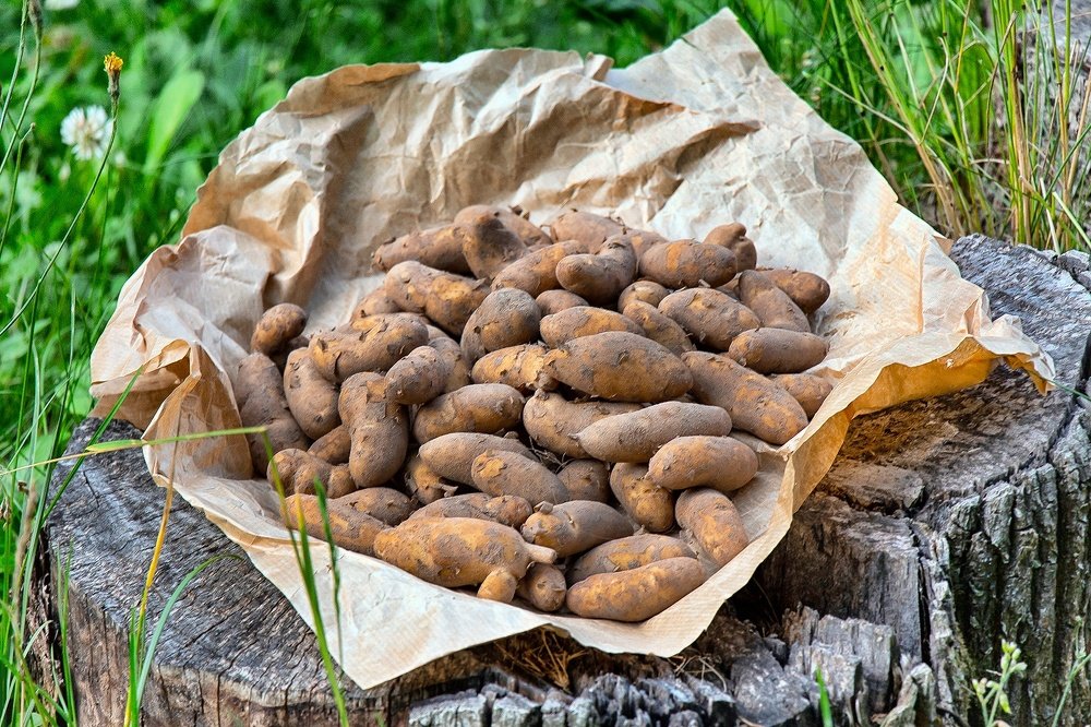 Причудливый