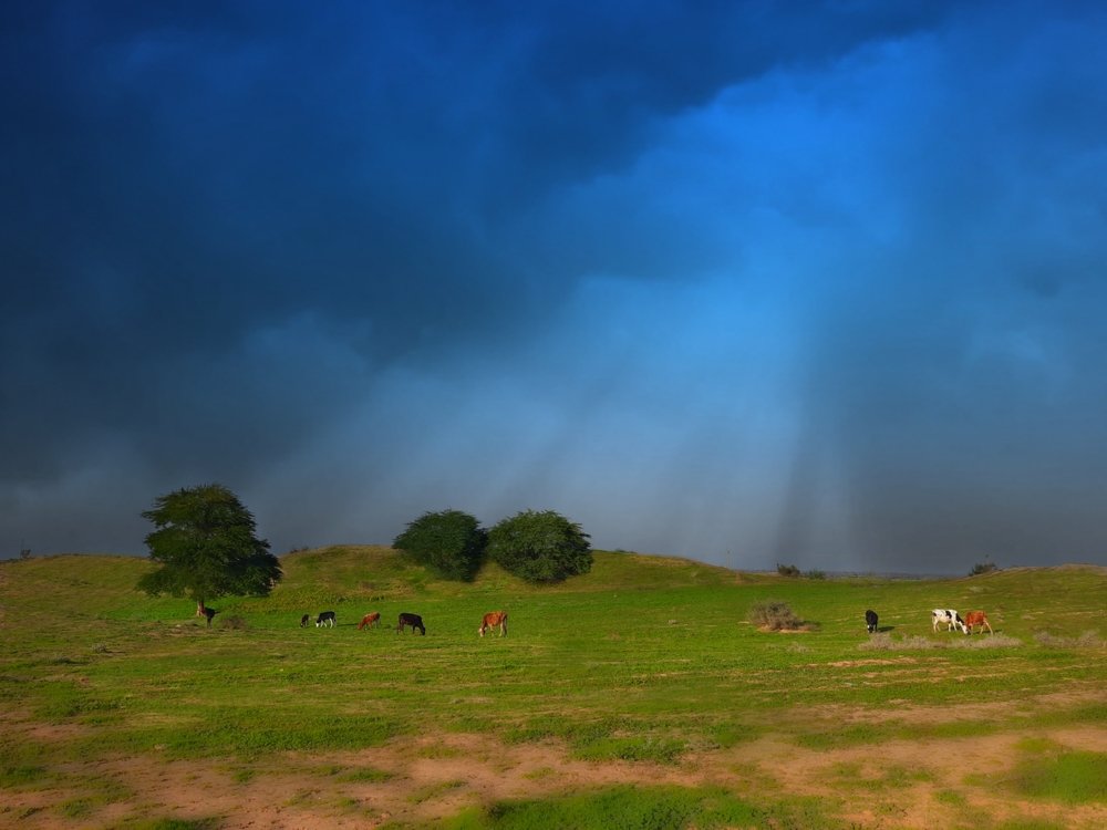 Photograph by Khaled ahmadi