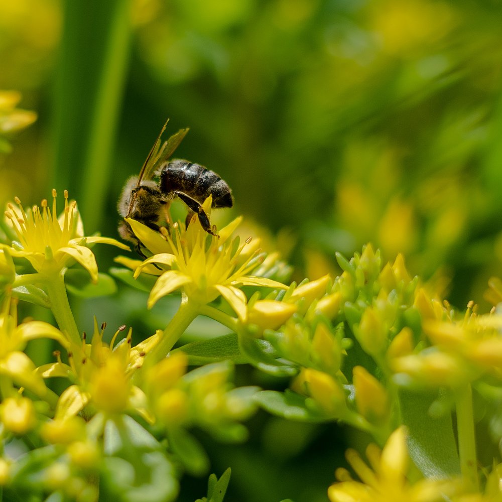 Photograph by Александр Шевченко