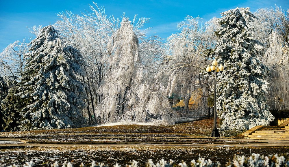 Photograph by Александр Григорьев