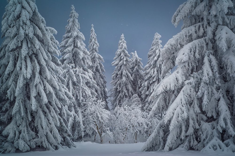 Photograph by Андрей Ожерельев