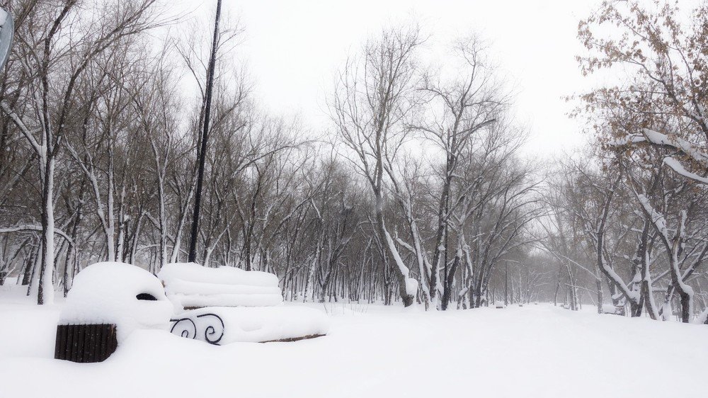 Фотография автора Александр Комаров