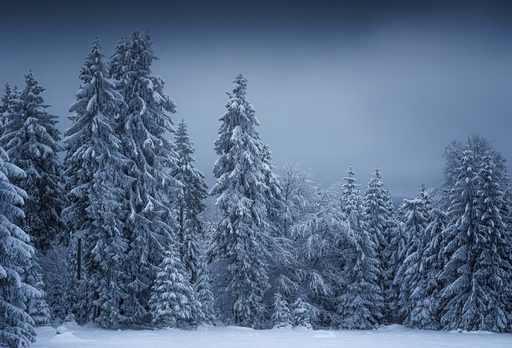 Photograph by Андрей Ожерельев