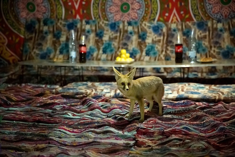 Photograph by Наталия Деркач