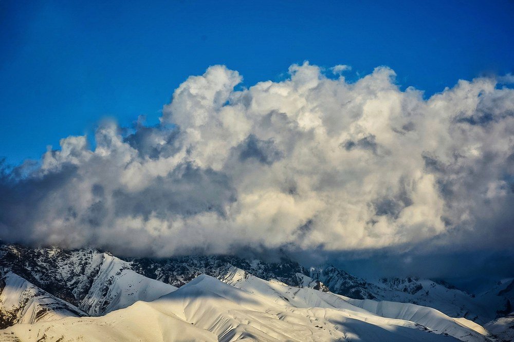 Фотография автора younes jafari