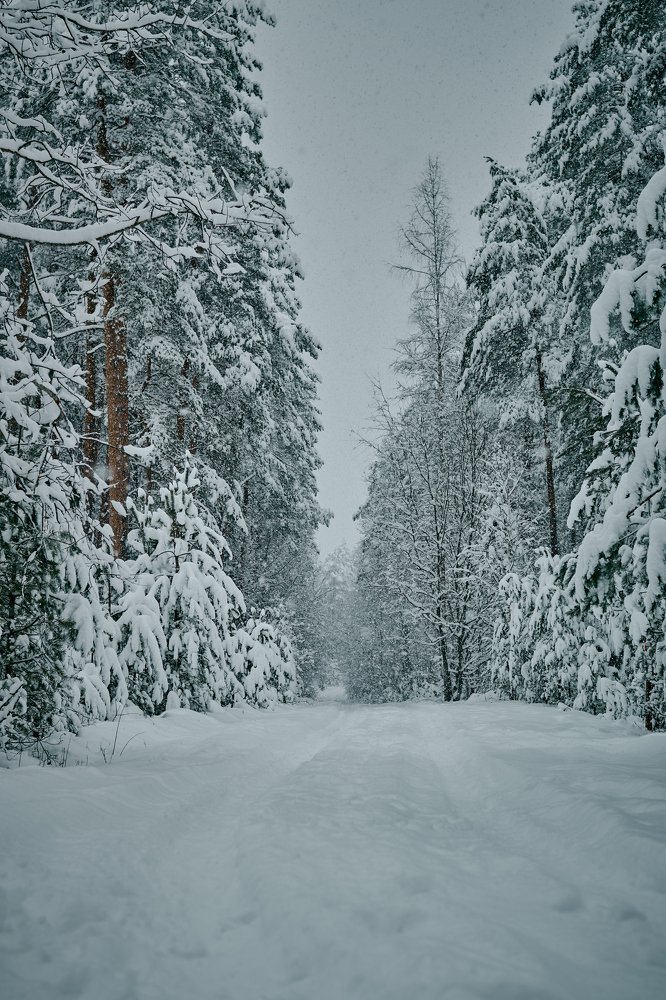 Photograph by Валерий Зенович
