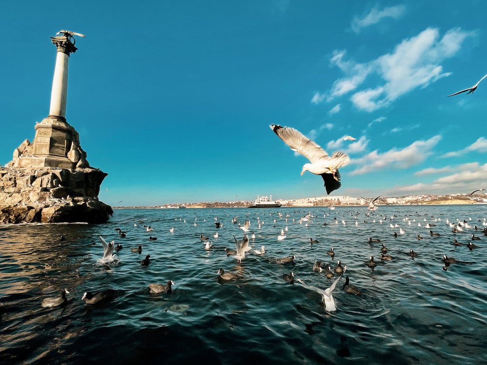 Photograph by ЕВГЕНИЙ РУДЕНКО