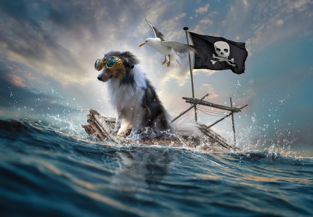 The Epic Adventures of Little Dog